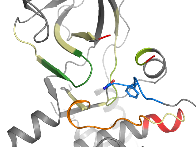 The orthosteric binding pocket