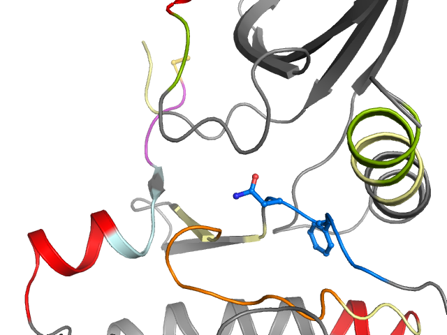 The orthosteric binding pocket