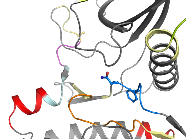 The orthosteric binding pocket