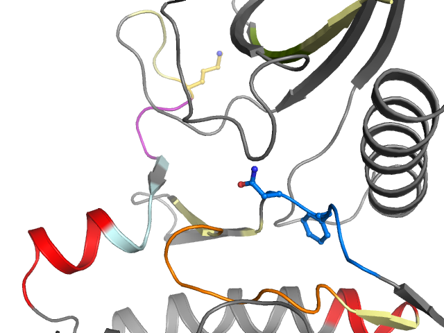 The orthosteric binding pocket