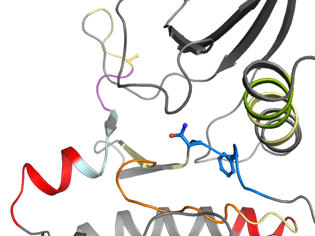 The orthosteric binding pocket