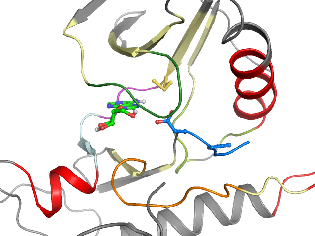 The orthosteric binding pocket