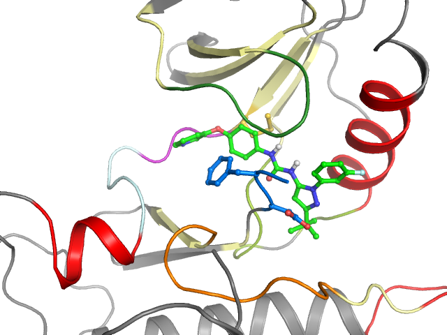 The orthosteric binding pocket