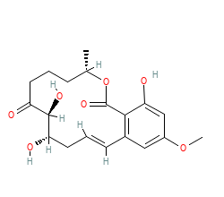 2D structure of the orthosteric ligand