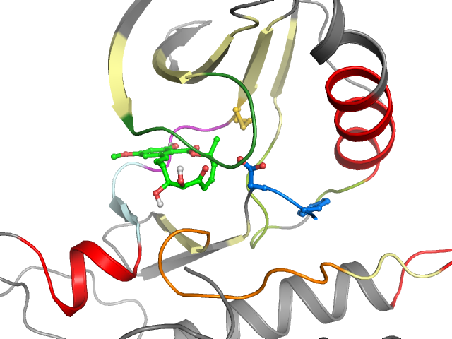 The orthosteric binding pocket
