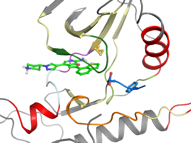 The orthosteric binding pocket