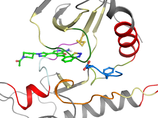 The orthosteric binding pocket