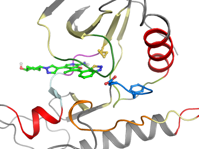The orthosteric binding pocket