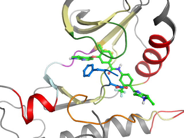 The orthosteric binding pocket