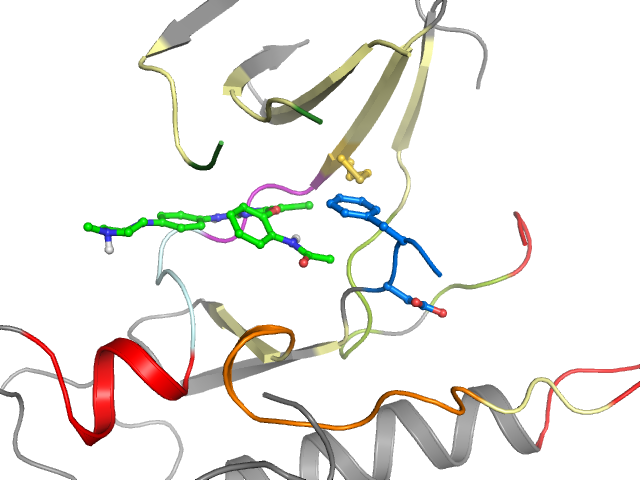 The orthosteric binding pocket