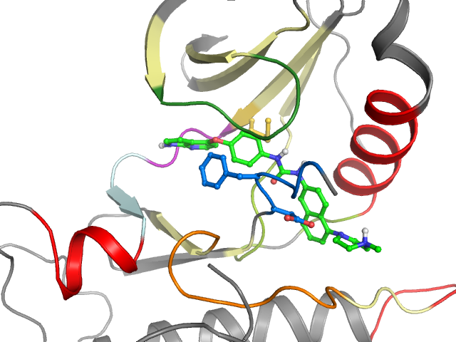 The orthosteric binding pocket