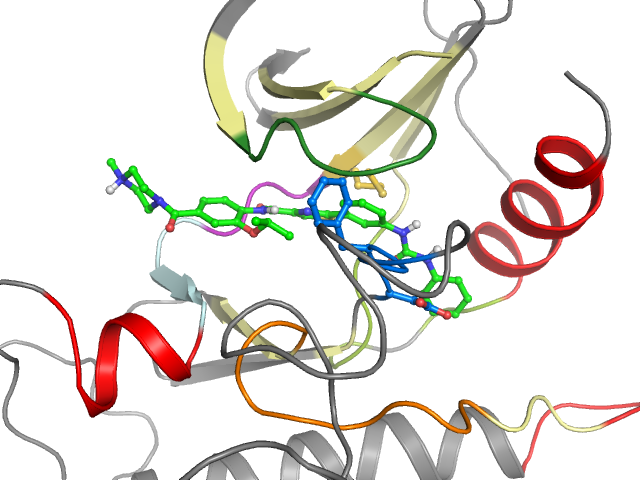 The orthosteric binding pocket