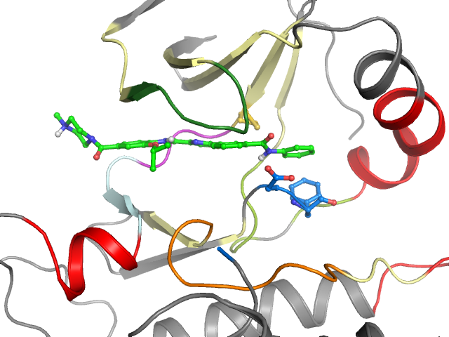 The orthosteric binding pocket