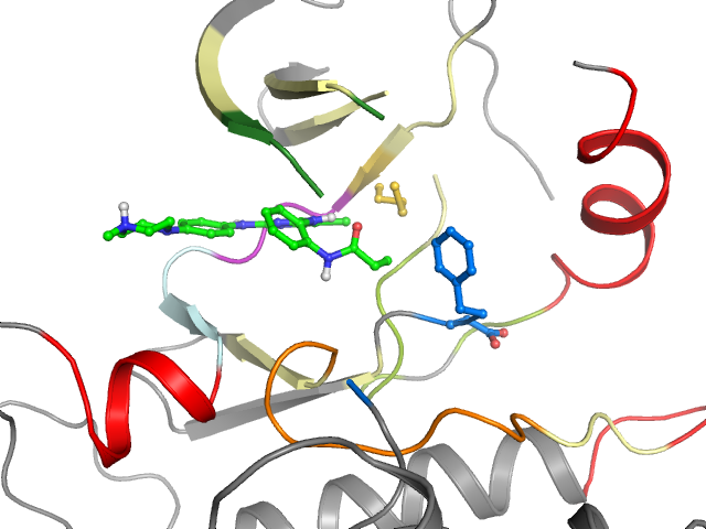 The orthosteric binding pocket