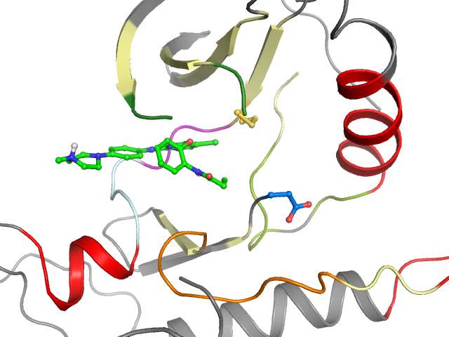 The orthosteric binding pocket