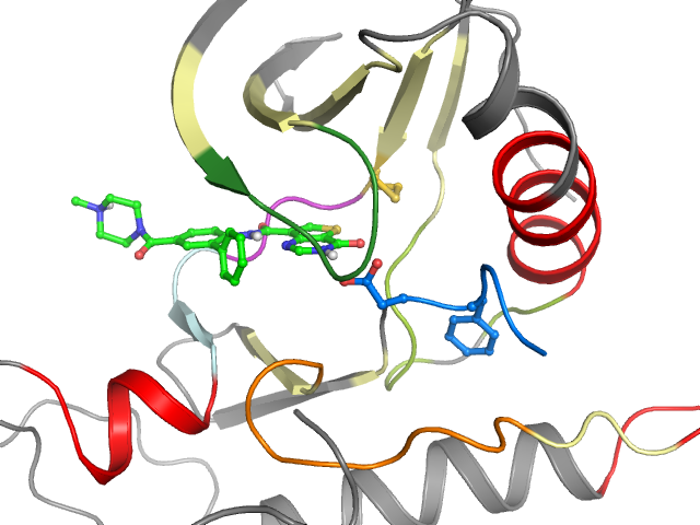 The orthosteric binding pocket