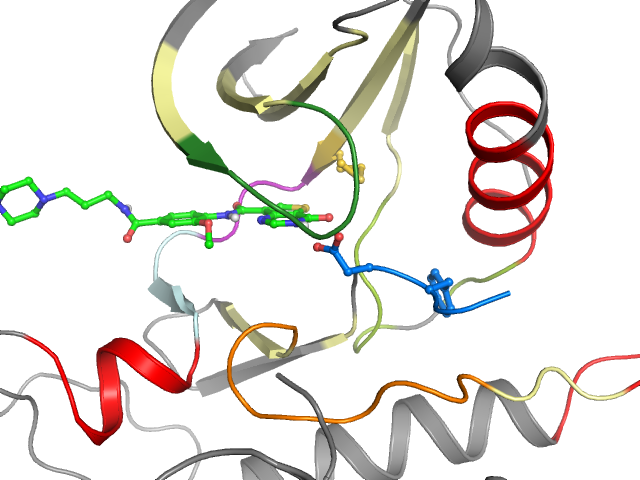 The orthosteric binding pocket