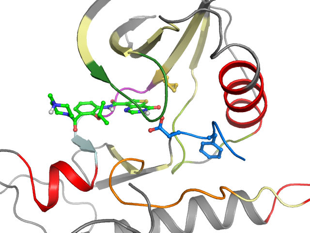 The orthosteric binding pocket
