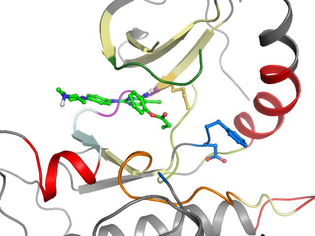 The orthosteric binding pocket