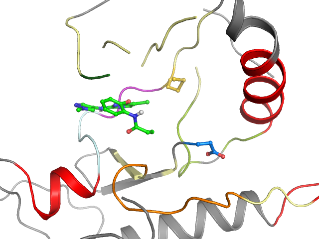 The orthosteric binding pocket