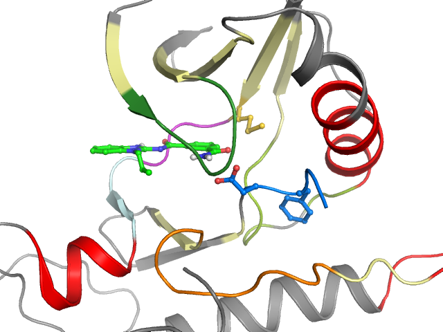 The orthosteric binding pocket