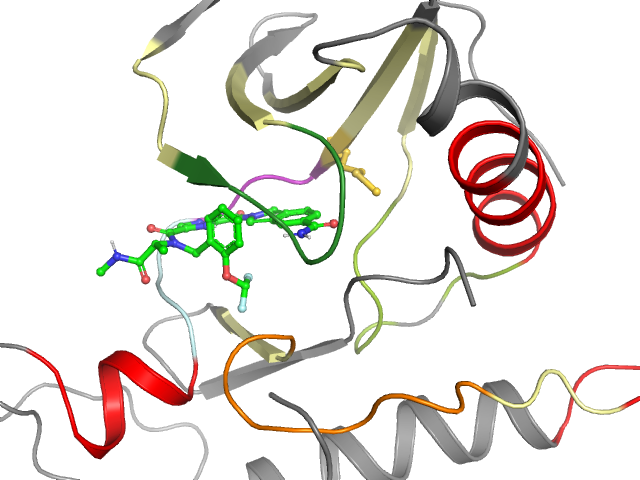 The orthosteric binding pocket