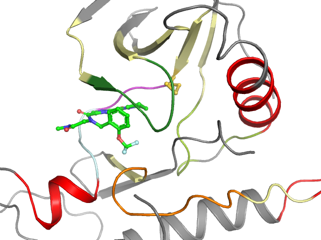The orthosteric binding pocket