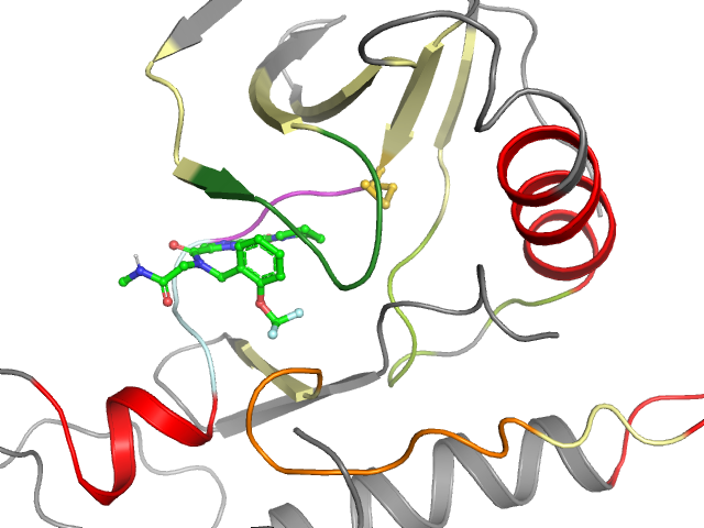 The orthosteric binding pocket