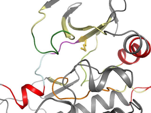 The orthosteric binding pocket