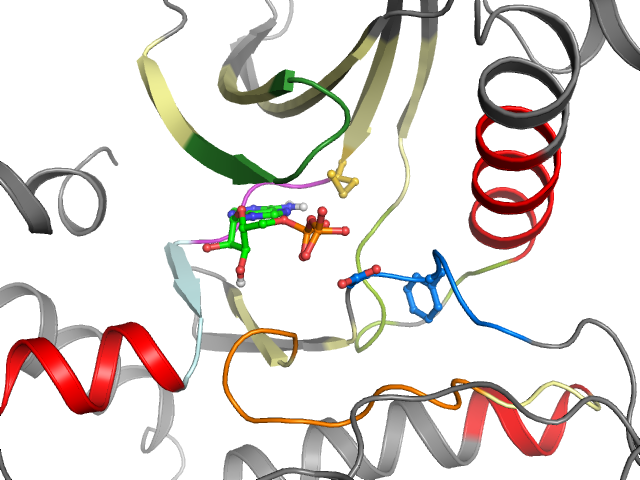 The orthosteric binding pocket