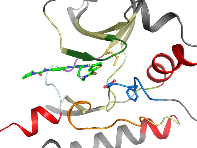 The orthosteric binding pocket