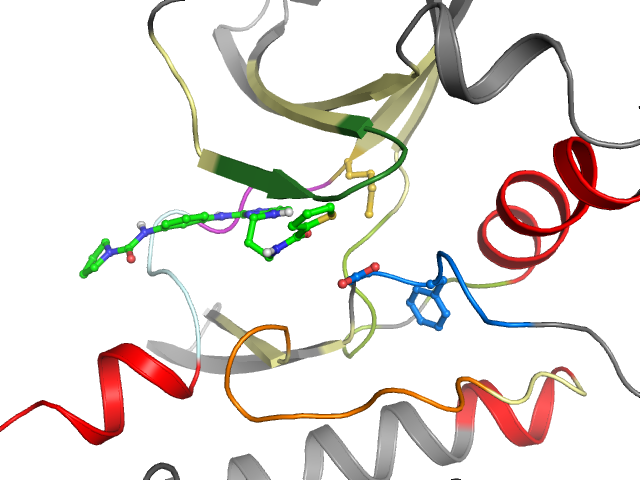 The orthosteric binding pocket