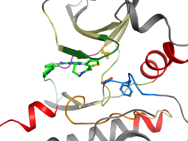 The orthosteric binding pocket