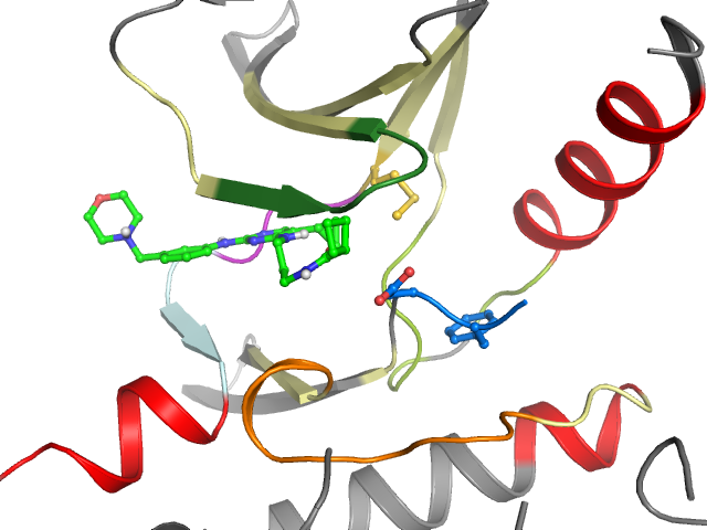 The orthosteric binding pocket