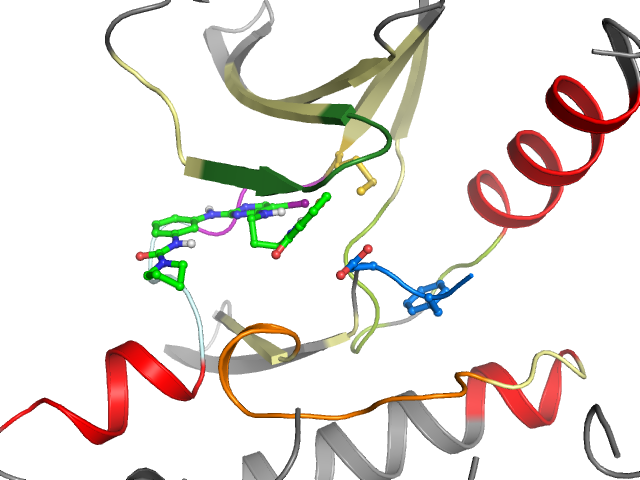 The orthosteric binding pocket