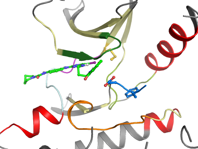 The orthosteric binding pocket