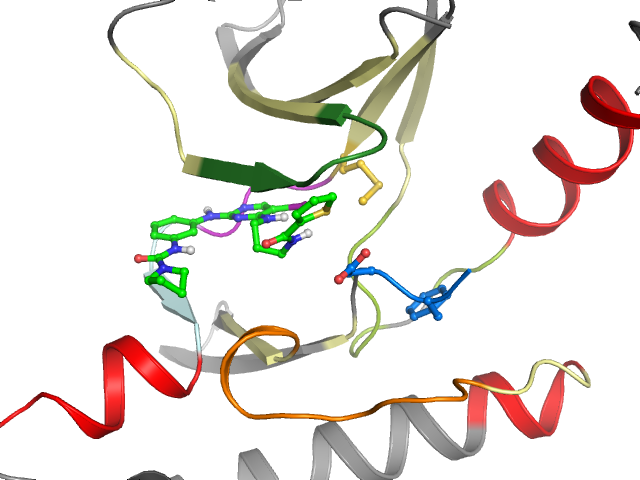 The orthosteric binding pocket