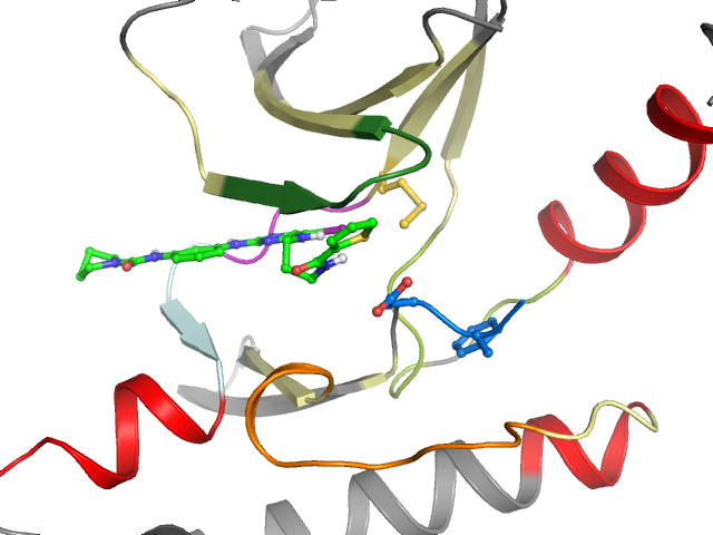 The orthosteric binding pocket