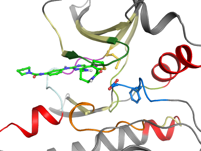 The orthosteric binding pocket