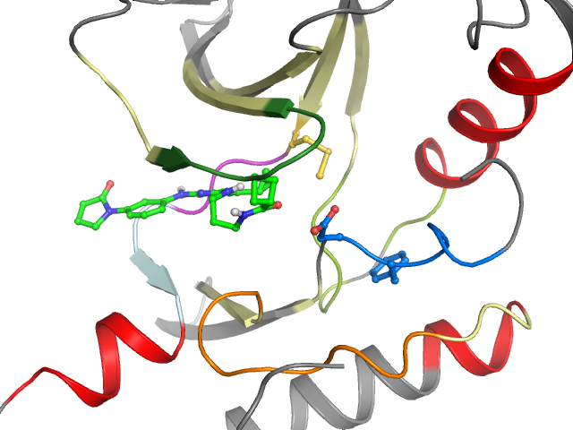 The orthosteric binding pocket