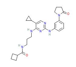 2D structure of the orthosteric ligand