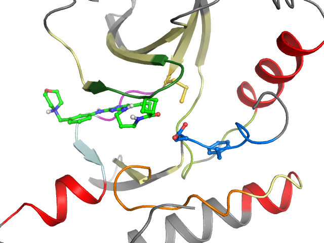 The orthosteric binding pocket