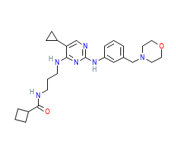 2D structure of the orthosteric ligand