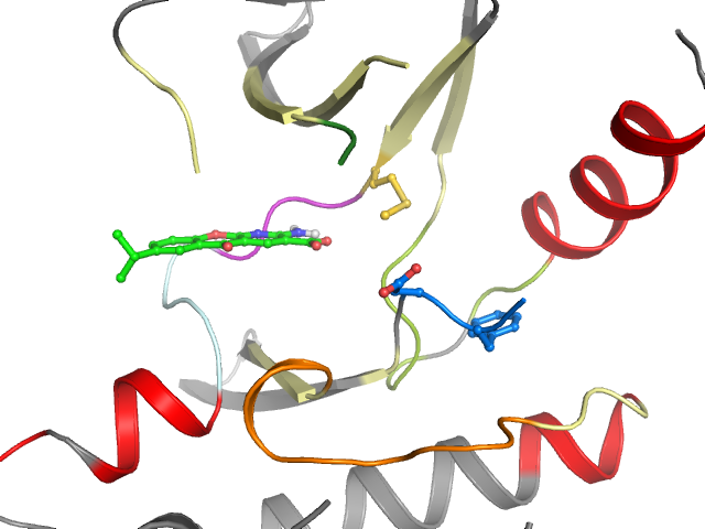The orthosteric binding pocket