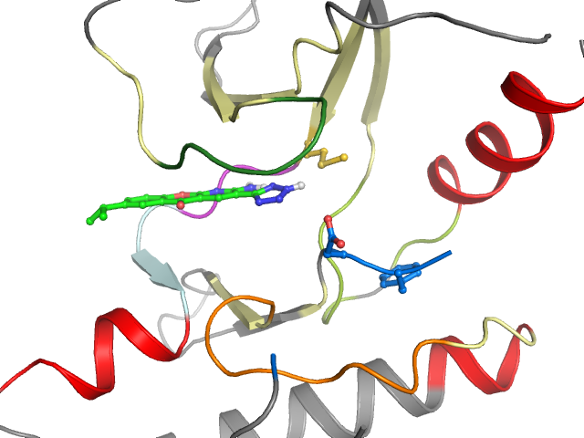 The orthosteric binding pocket