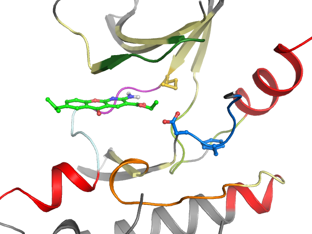The orthosteric binding pocket