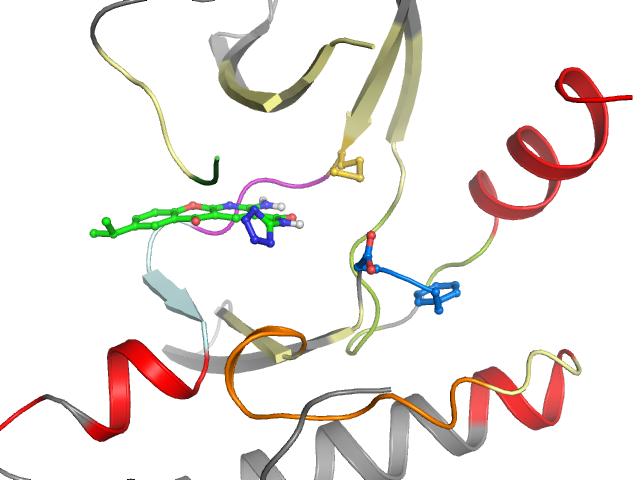 The orthosteric binding pocket