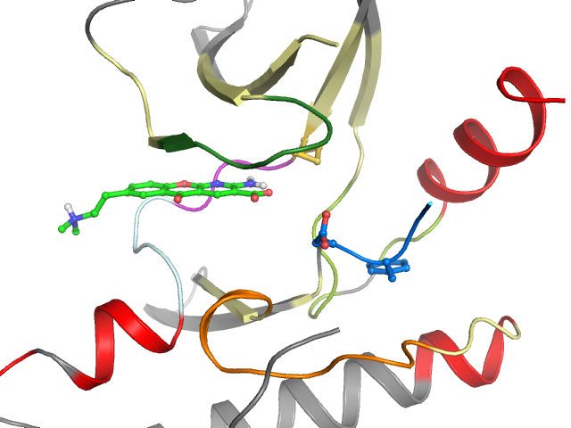 The orthosteric binding pocket