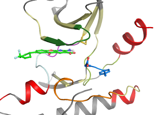 The orthosteric binding pocket