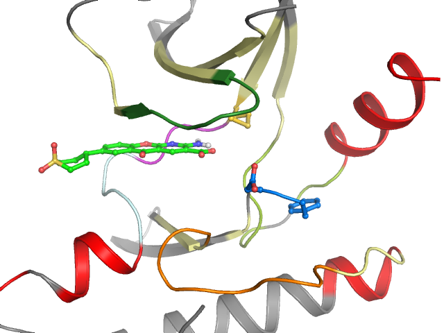 The orthosteric binding pocket